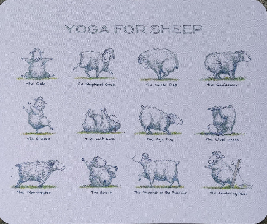 Computer mousepads - Toroa / Albatross & Yoga for Sheep