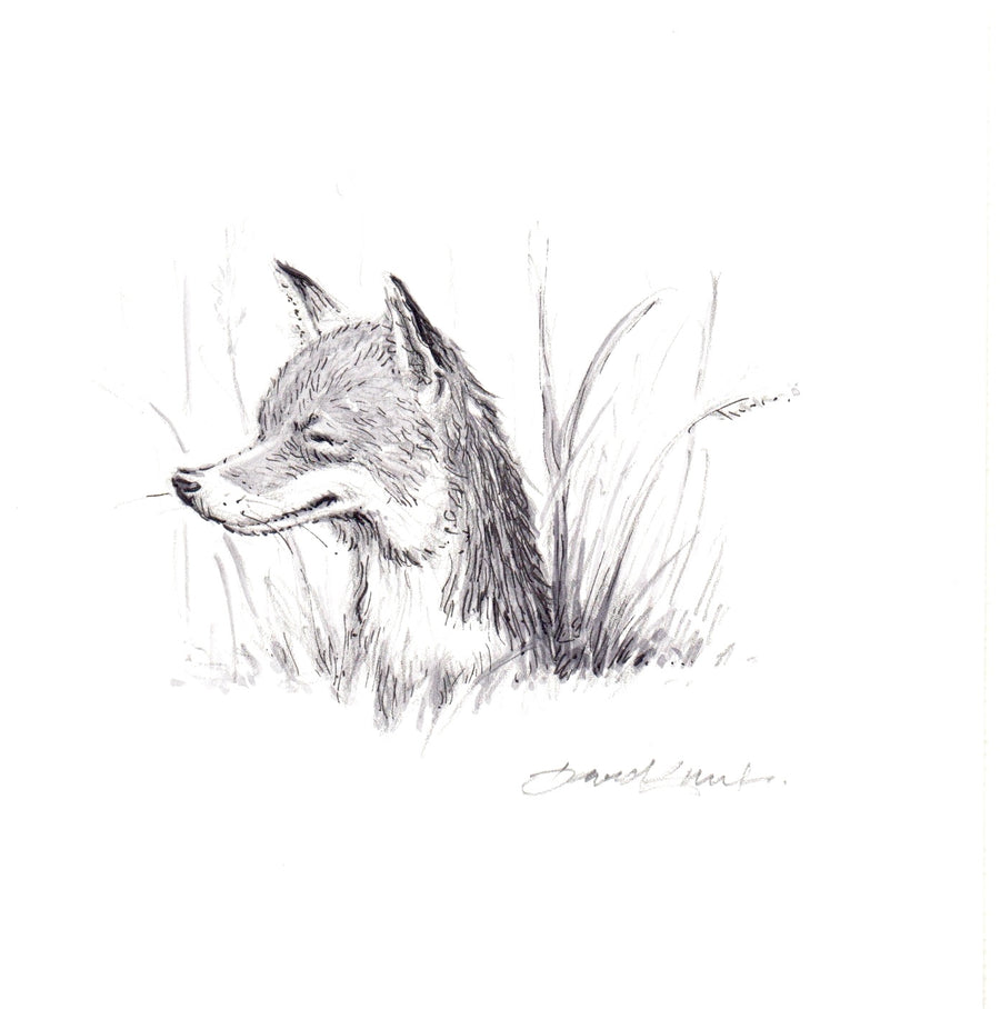 Fox