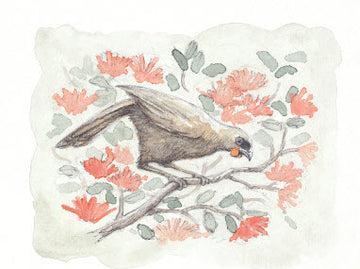 Fabriano Prints - 3 wild nature designs