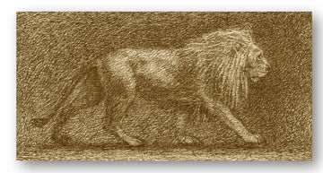 Large Lion canvas print