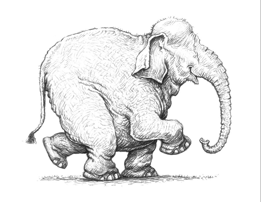 Sir Lionel's Elephant Stephen