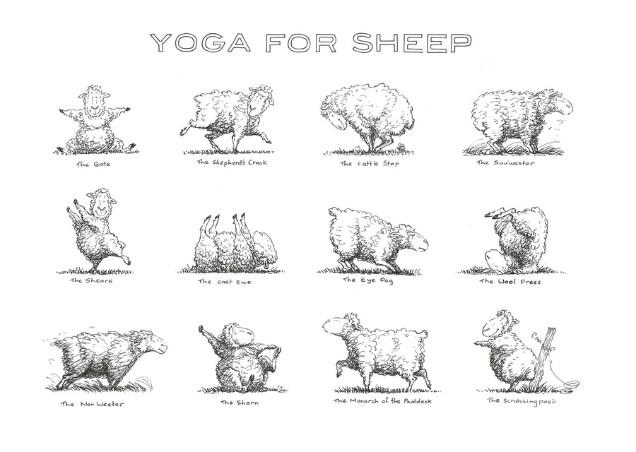 T-shirts - Yoga for Sheep