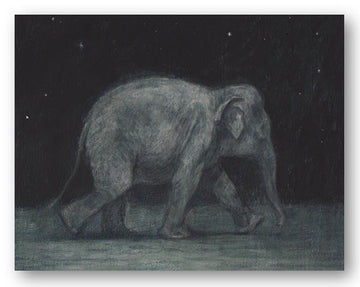 Fabriano Prints - 3 wild nature designs